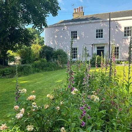 The Pink House